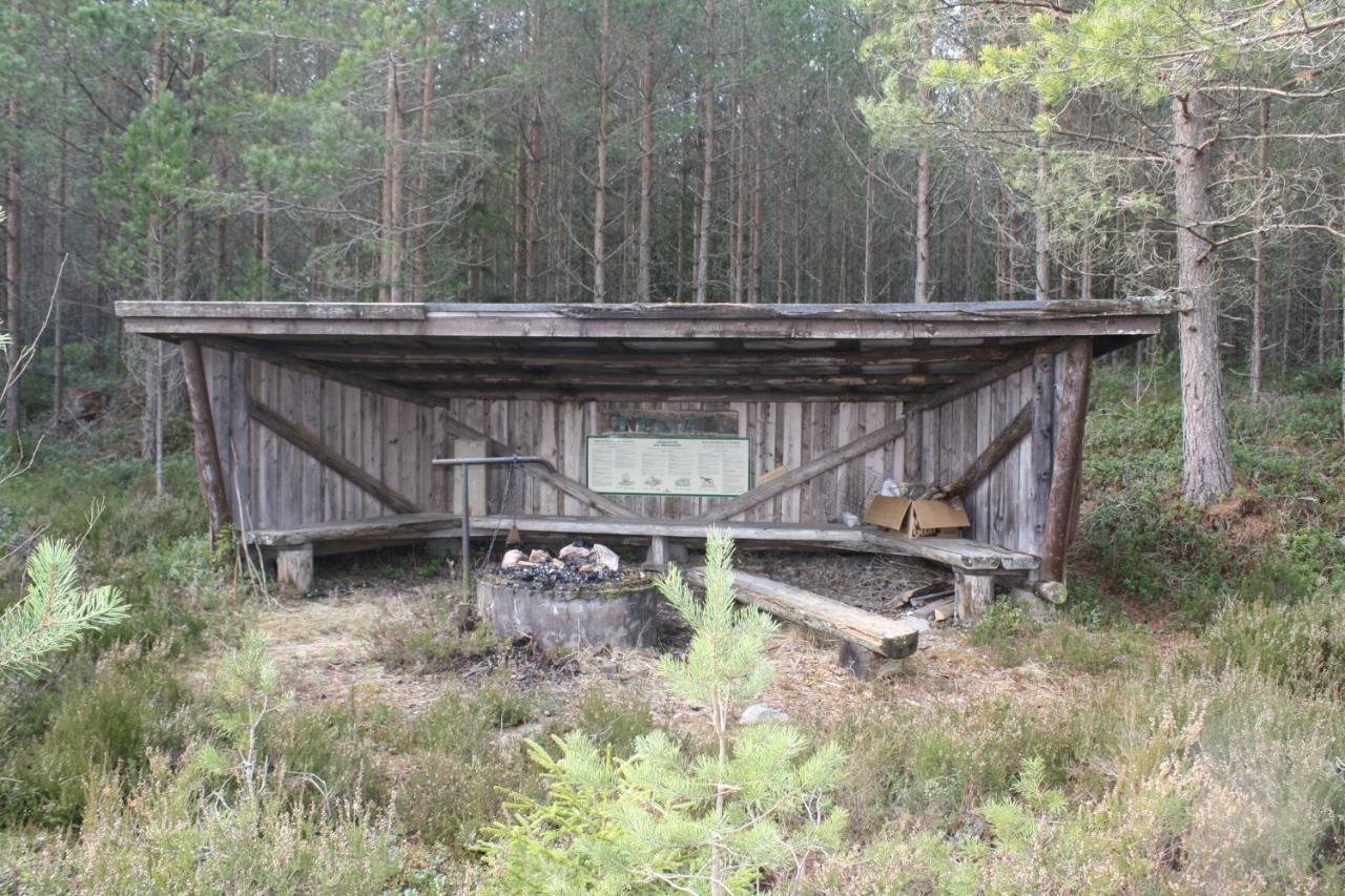 The Sleepy Moose Vandrehjem Rofors Eksteriør billede