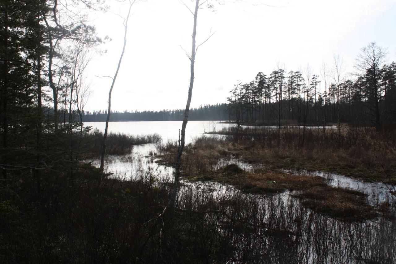 The Sleepy Moose Vandrehjem Rofors Eksteriør billede
